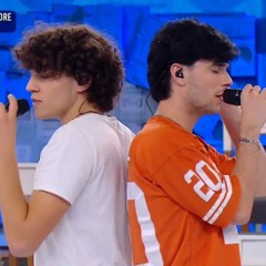 il gatto e la volpe ft nicolò [cover]