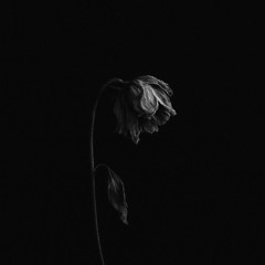 éphémère (prod. neverforever)