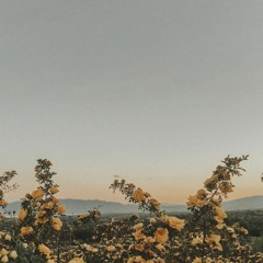 sunflower seeds instrumental remake