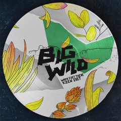 Big Wild - When I Get There (XZEN Edit) [FREE DL]