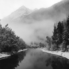Maggie Rogers - Alaska (Shield Yourself Remix)