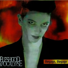 Desireless - Voyage Voyage - (Metal cover - Fleshgod Apocalypse Style)