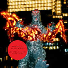 Passarella Death Squad - 21 Years, 21 Likes (2004 - 2025)