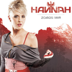 Zoags mir Remix 1 Guitare Rock