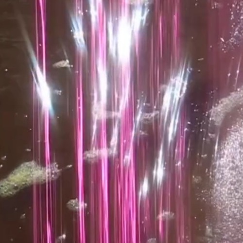 I think i just threw up on my note book lol (prod.sickboi)