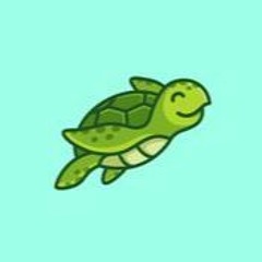 Turtle To Forever Team