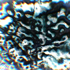 Tide Pool