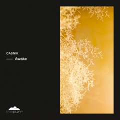 Casnik - Everything Is Love (Original Mix)