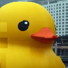 duck (ft. swazy*, joeverse, & chanelfather)