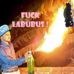 FUCK LABUBUS ! (feat. justin14)