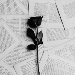 A Day Without You
