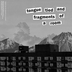 Tongue Tied and Fragments of a Room (featuring No. 2)