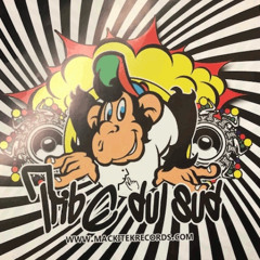 Ké-Seb mix for Fred - Spécial Tribe du sud 06 - 07 - 08 - 100% vinyls