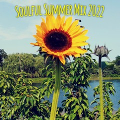 Soulful Summer Mix 2022