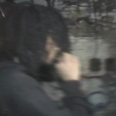 Tryhard (trendxxetta)