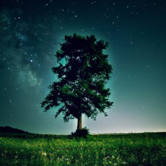 The Lonely Tree Corecore Motivation