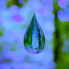 "Stay Cool My Friends" - halF unusuaL & Benn DeMole [disquiet0592]