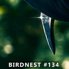 BIRDNEST #134