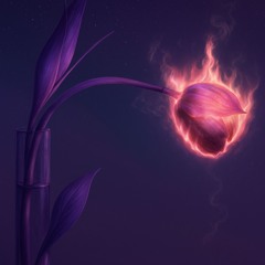 The Space Behind Dawn