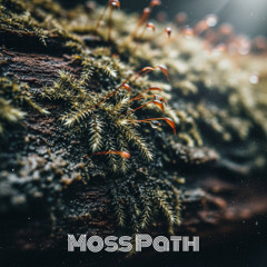 Moss Path