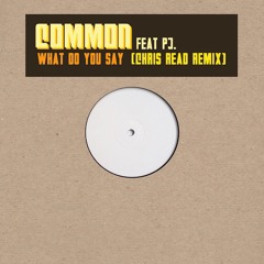 Common feat PJ - What Do You Say (Chris Read Remix)
