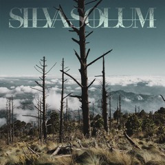 Silvasolum - Percevoir L'illusion