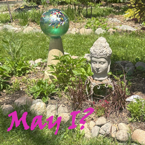 May I?