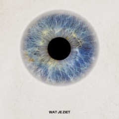 Wat Je Ziet