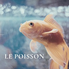 Le poisson - Jenni Brandon