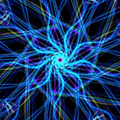 nine analogues