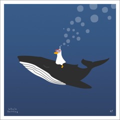 whale surfing