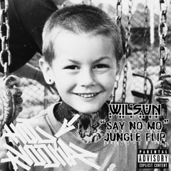 Terror Reid - Say No Mo - WilSun Jungle Flip