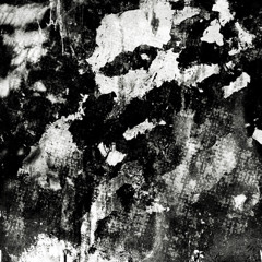 LIARY - Slowed to perfection & Reverb