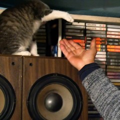 Mixtape Rică Drăgan - Câte ceva din sufletul meu