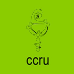 Von Dutch - Toxic Transjungular Remix