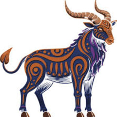 tribal goat