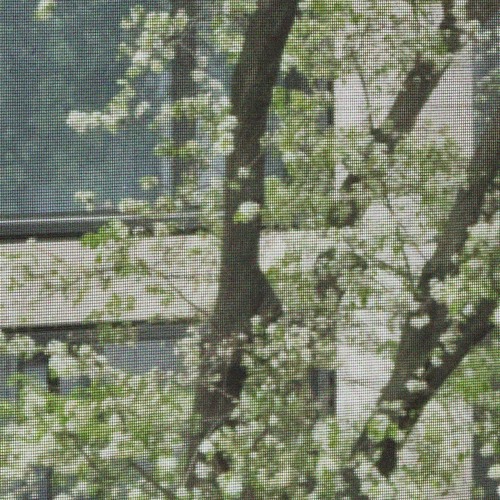 my boo - ghost town djs (lake chon remix)