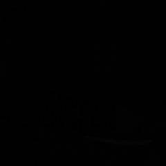 dinero2x arps and fullys