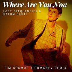Lost Frequencies & Calum Scott - Where Are You Now (Gumanev & Tim Cosmos Remix)