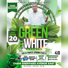 GREEN N WHITE PROMO CD 2024 - DJ CASSHMONEY GTBADBOI