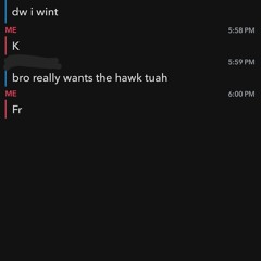 Dk47ka$h - hawk tuah ft.t-tracks prod.nio