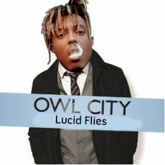 Fireflies x Lucid Dreams