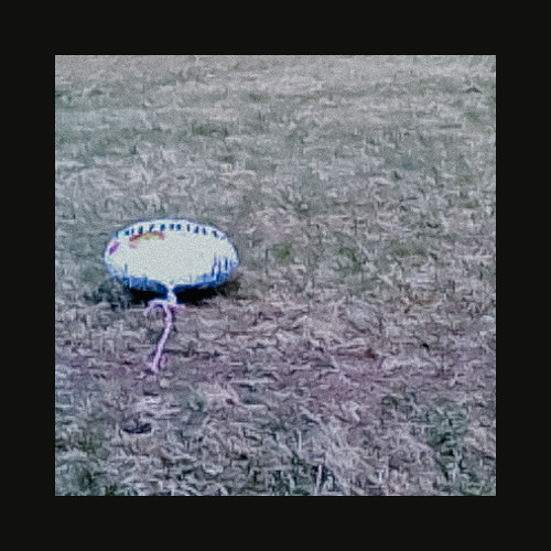 Ein perfekter Sperling