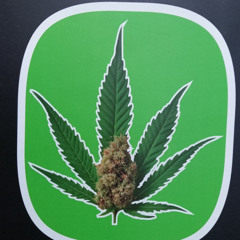 MaxMagic ft Phoenix - Bass Cums Pops