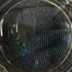 maud gone (csh cover)