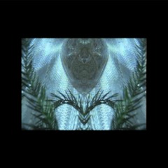 Hi-Vis x Frank Upson for Infinite Refractions x COMMON