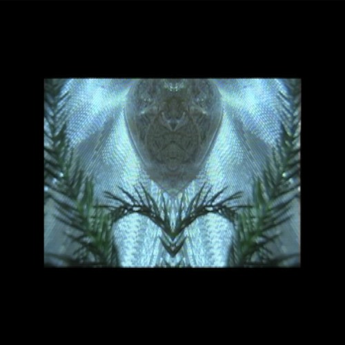 Hi-Vis x Frank Upson for Infinite Refractions x COMMON