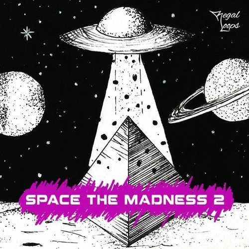 Regal Loops Space The Madness 2 WAV-FLARE