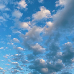 Dead Mans Arms - cover