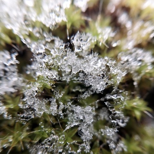 CIAN - CLARABOYA (snowfall edit)